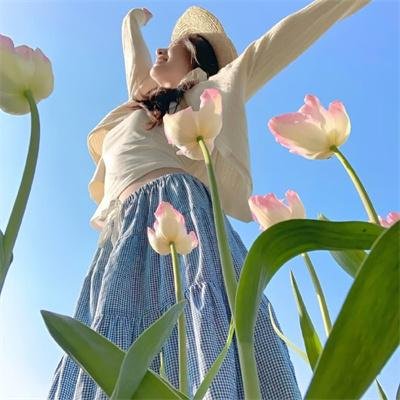 钦天奇谭